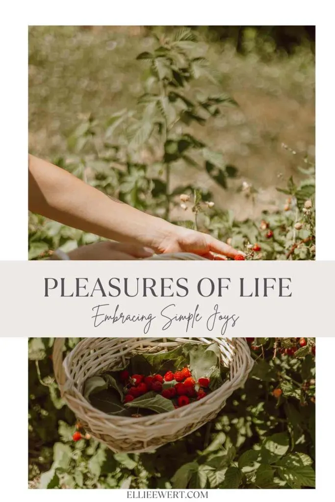 Pleasures of Life